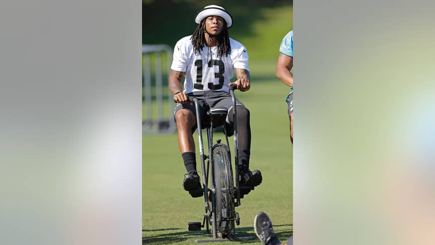 APTOPIX Panthers Camp Football-1.jpg